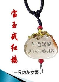 (BG-红楼同人)宝玉战红楼